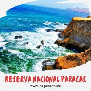 ica peru. reserva nacional de paracas
